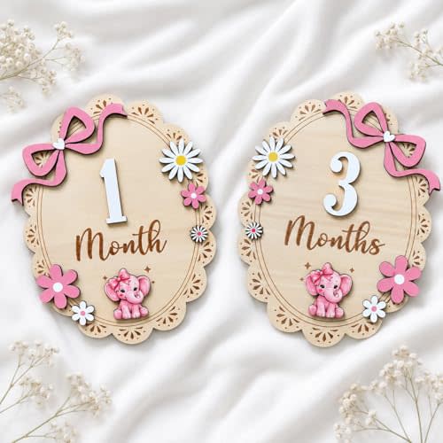 Baby Girl Monthly Milestone Signs, Large 8 Inch Wooden Milestone Disc with Interchangeable Numbers 1-12 Months, Double Sided Pink Elephant Bow Floral Newborn Photo Props