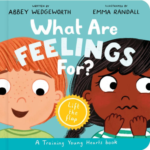 What Are Feelings For?
