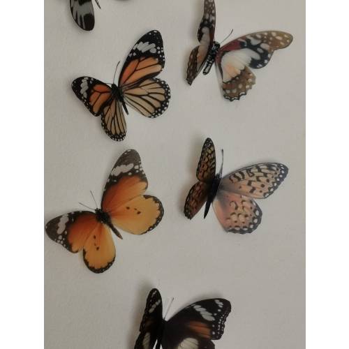 3D Butterfly Wall Decor: Natural Flying Removable Butterflies, Set of 10