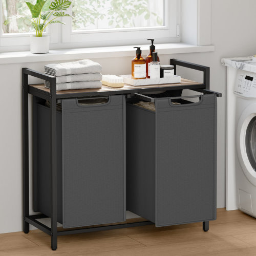 17 Stories Doulgas 2 Removable 12.1-Gallon Liners Laundry Hamper & Reviews | Wayfair