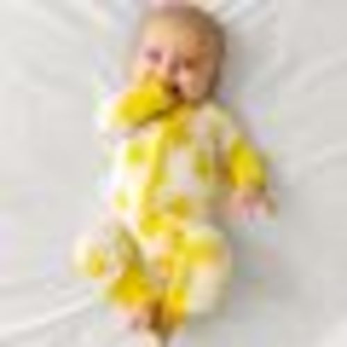 Sunshine Zippy