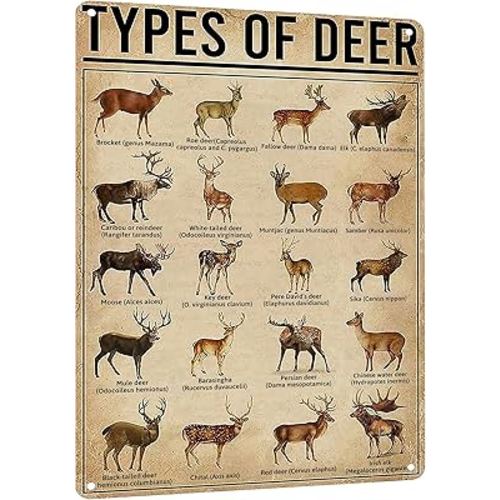 HYBLOM Rustic Types Of Deer Metal Sign, Vintage Farmhouse Wall Art Tin Sign - Hunting Decor & Educational Poster for Home, Man Cave, and Bar 8x12 Inches
