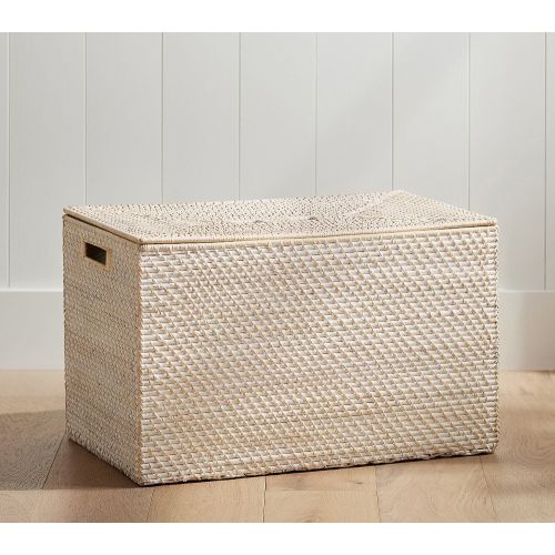 Quinn Lidded Storage Trunk