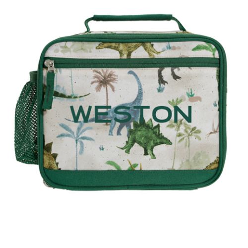 Jurassic Dinos Lunch Boxes | Pottery Barn Kids