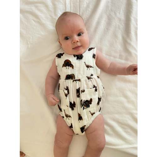 Turkey Trot - Sunsuit (Organic Cotton)