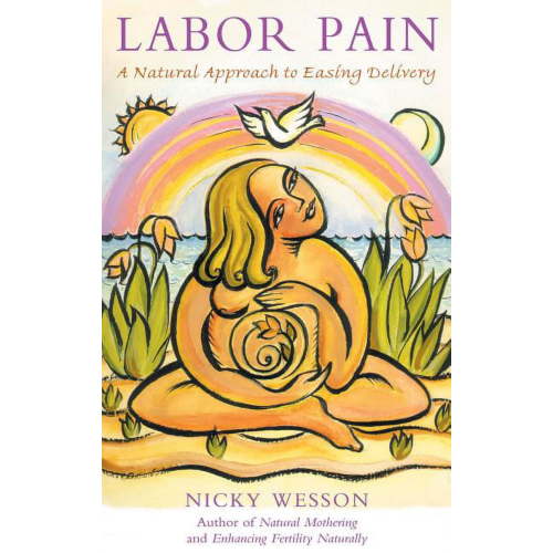 Labor Pain : A Natural Approach to Easing Delivery (Paperback)