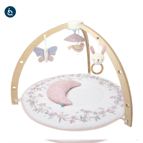 Baby Gym | Premium Baby Activity Gym | aden + anais