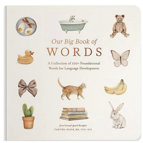 Our Big Book of First Words: A Collection of 100+ Foundational Words for Language Development (Tabitha Paige Children's Book Series)