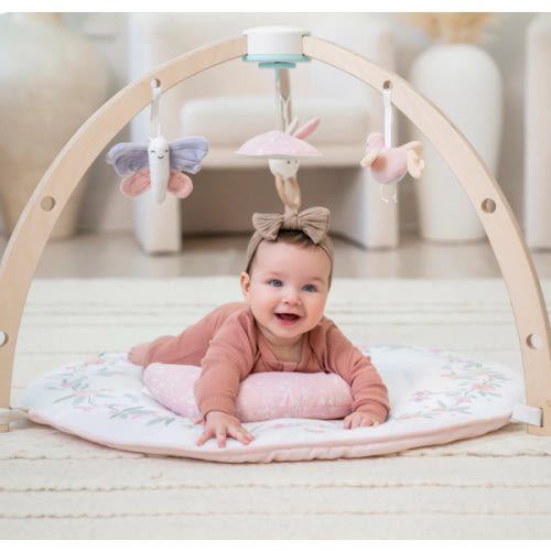 Baby Gym | Premium Baby Activity Gym | aden + anais