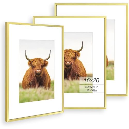 Golden State Art, 16x24 Picture Frame Set of 3, Gold Thin Border, Display Photo 12x18 with Mat or 16x24 Without Mat, Poster Frame for Wall Hanging Horizontal and Vertical