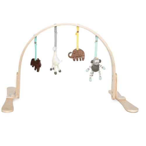 Play Gym - Finn & Emma