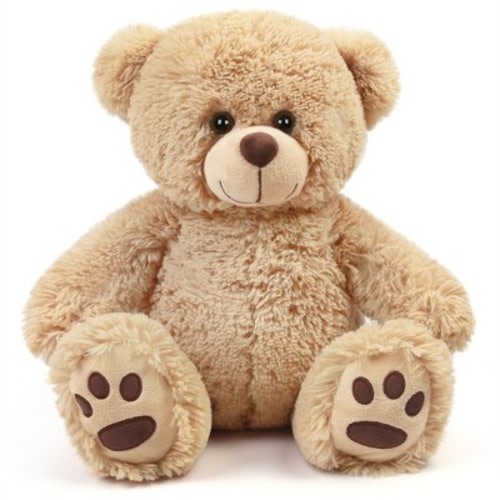 LotFancy 14" Teddy Bear Stuffed Animals, Soft Plush Bear with Footprints