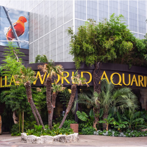Dallas World Aquarium