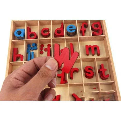 Montessori Moving Alphabet