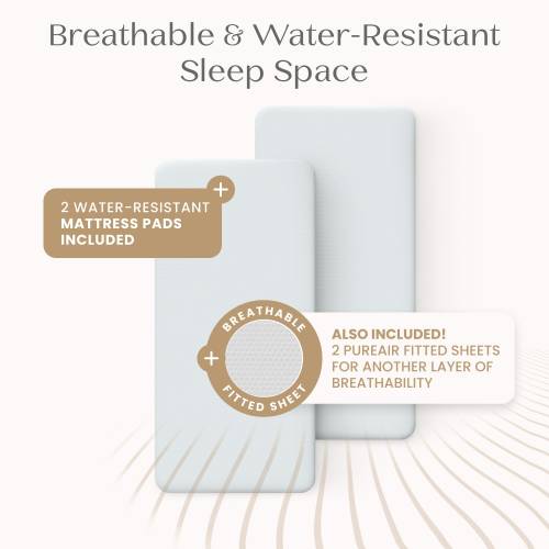 Bondi Beechwood Twin Bassinet