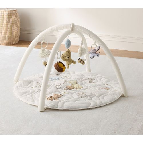 Disney's Winnie the Pooh Activity Gym