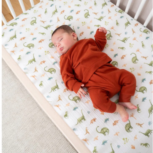Dino Jungle Cotton Muslin Crib Sheet | aden + anais