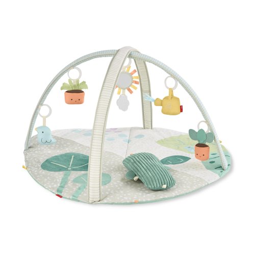 Skip Hop Garden Oasis Activity Gym
