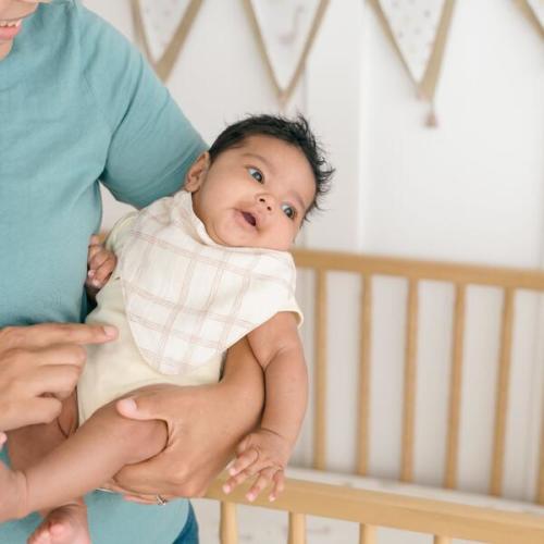 Charlie 3-pc. Farmhouse Goose Baby Bib Set - Crane Baby | Maisonette