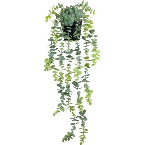 LOYWREE Fake Hanging Eucalyptus Plants Small Potted Long Vine Plants Indoor for Vintage Boho Farmhouse Bathroom Office Desk Wall Shelf Room Aesthetic Decor (Black Pot)
