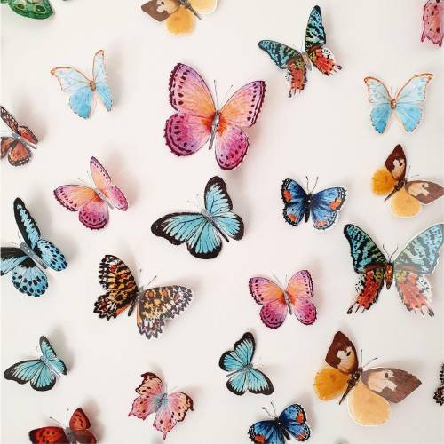 Butterfly Wall Decor, Butterfly Wall Stickers, 3D Butterfly Room Decor, Natural Butterfly Wall Art, Nursery Decor, Wedding Decorations