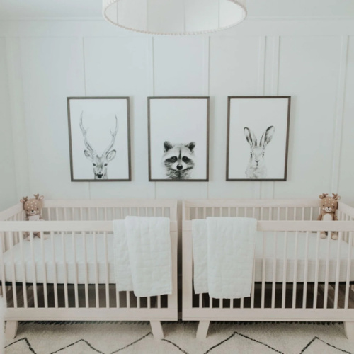 Twin Nursery Fund
