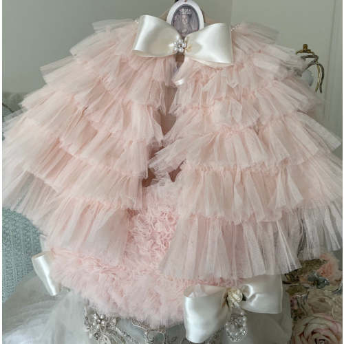 Fancy Pink Frosty – Designs By ELS