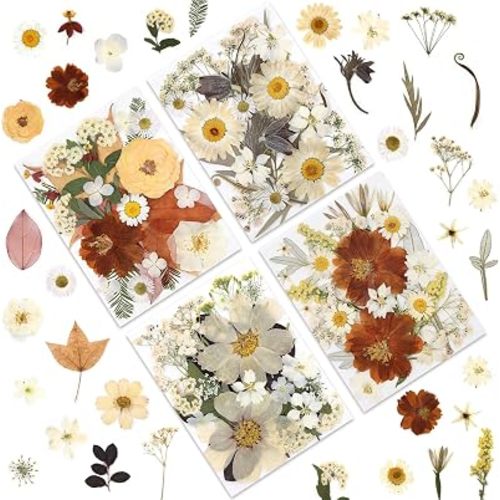 LUXEEASE 100P Vintage Cream Brown Dried Pressed Flowers