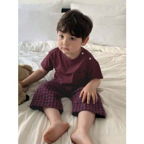 Hapijoa Toddler Boys Round Neck Short Sleeve T-Shirt And Plaid Pants 2 Piece Home Outfit, Summer | SHEIN USA
