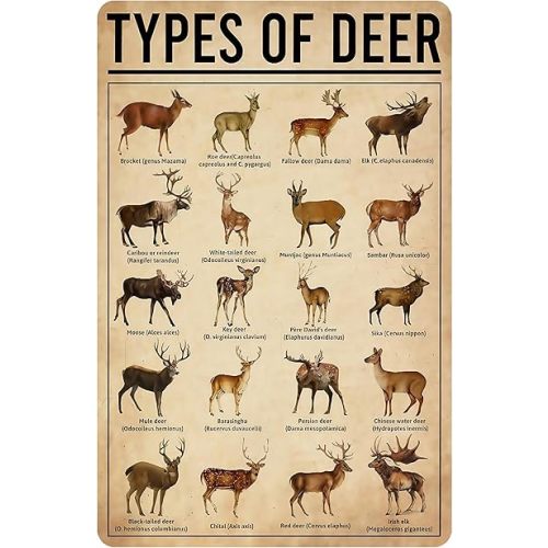 Deer Gifts Types of Deer Vintage Tin Sign for Home Office Farmhouse Man Cave Classroom Wall Art Decor 8x12 Inch (3169)