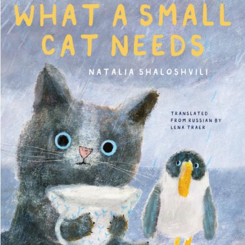 What a Small Cat Needs