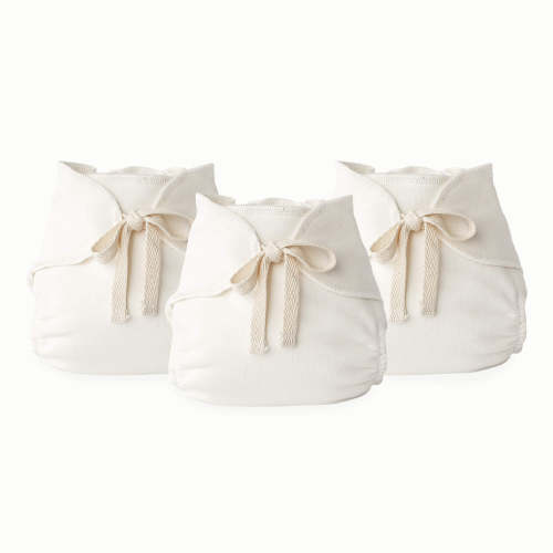 Cloth Diaper System & Quiz - Esembly Baby
