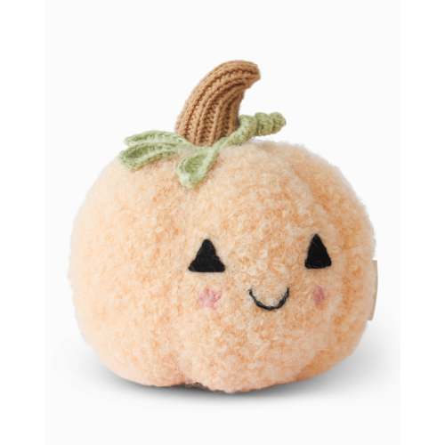 Baby pumpkin