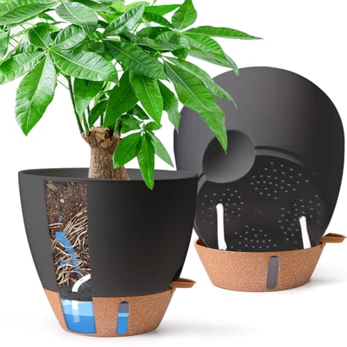 2 Pack 10 Inch Self Watering Pots - Water Level Indicator & Deep Reservoir, Mess-Free Planter for Busy People, Beginners & Gardeners, Fiddle Leaf Fig, Monstera, ZZ Plants, Indoor Outdoor Use (Black)