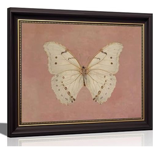 FKRYTYB Brown Framed Wall Art Moody Butterfly Painting, 9x11in