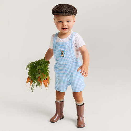 Garden Gingham Blue French Terry Short Overalls
