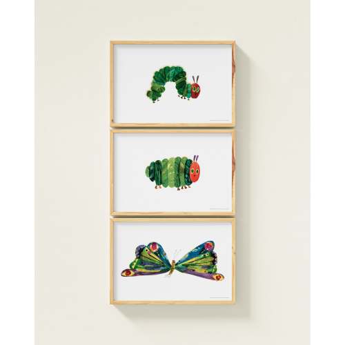 A Beautiful Butterfly! Framed Wall Art Set | Eric Carle x Nestig