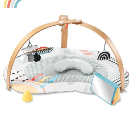 Multi Discoverosity Montessori-Inspired Play Gym | skiphop.com