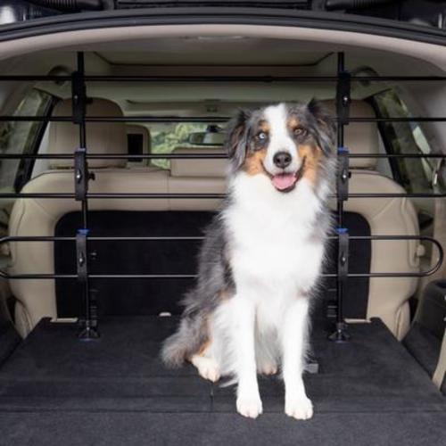 PETSAFE Happy Ride Tubular Metal Dog Barrier - Chewy.com