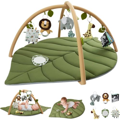 Baby Play Gym