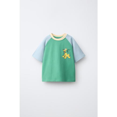 PLUTO© DISNEY RAGLAN T-SHIRT - Intense green | ZARA United States