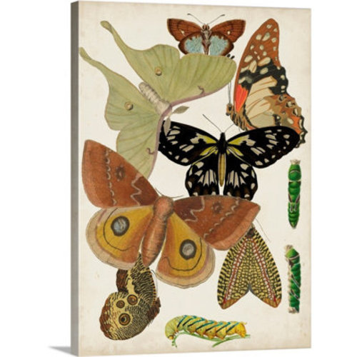 Novogratz Butterflies Kids Wall Decor | Wayfair