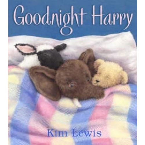 Goodnight Harry Hardcover – November 1, 2003