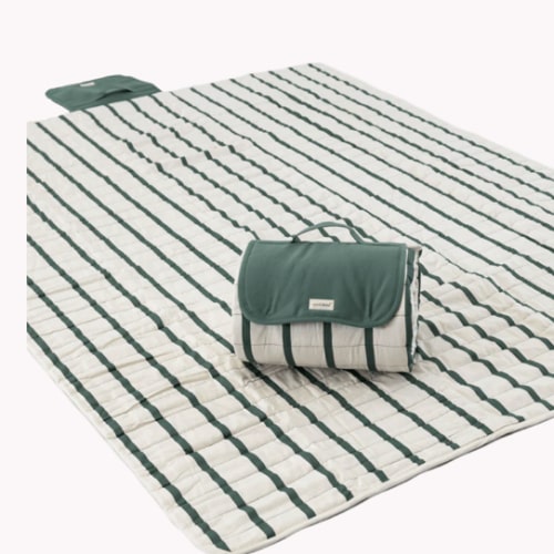 Toddlekind indoor/outdoor playmat