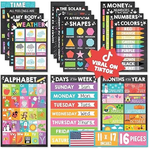 Hadley Designs 16 Educational Posters for Toddler Learning Activities - Laminated Pre-K Posters for Toddlers 1-3, Homeschool Essentials & Preschool Learning Activities, Kindergarten Classroom Decor