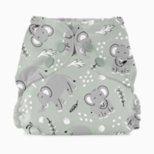 Outer–WWF Elephants / One