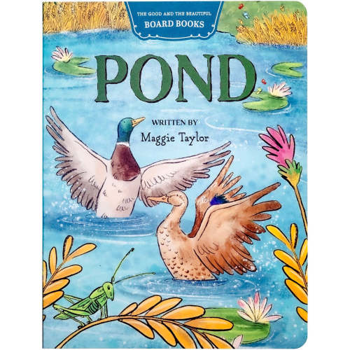 Pond Board Book: by Maggie Taylor