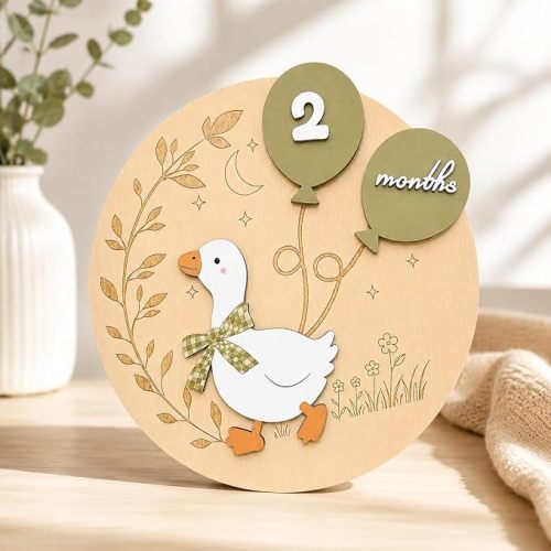 Baby Milestone Sign 3D White Goose Wooden Discs 1-12 Months, Monthly Milestone Discs with Interchangeable Numbers for Newborn Photos, Keepsake Gift Nursery Decor, Perfect Baby Shower Present