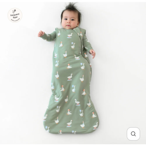 Sleep Bag in Silly Goose 1.0