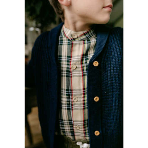 Arthur Long Sleeve Shirt,  Fall Plaid - Little Paper Kids | Maisonette